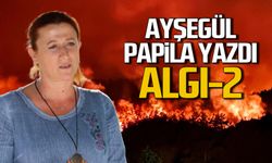 ALGI 2