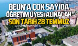 Zonguldak Bülent Ecevit Üniversitesi'ne çok sayıda öğretim üyesi alınacak!