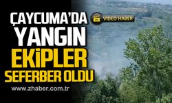 Çaycuma'da yangın! Ekipler sevk edildi!