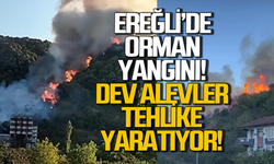 Ereğli’de çok büyük yangın başladı: Yerleşim bölgeleri tehlike altında!