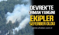 Devrek'te orman yangını! Ekipler seferber oldu!