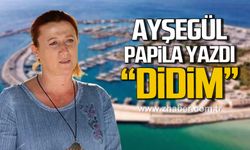 DİDİM
