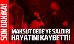 Maksut Dede’ye büyükbaş hayvan saldırdı: Hayatını kaybetti!