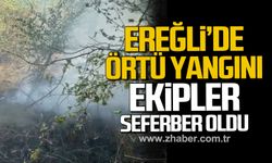 Kdz. Ereğli'de örtü yangını! Ekipler seferber oldu!