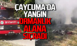 Çaycuma’da yangın ormana sıçradı!