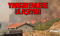 Orman yangınında alevler yerleşim yerlerine doğru ilerliyor