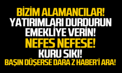 Bizim Alamancılar!