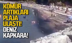 Kömür artıkları plaja ulaştı! Kapkara suda yüzdüler!