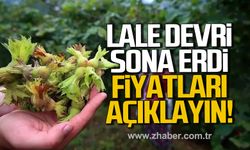 Eylem Ertuğrul; "Lale Devri bitti! Fındık fiyatlarını açıklayın"
