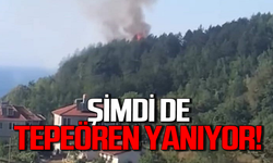 Zonguldak yanıyor: Şimdi de Tepeören'de yangın çıktı!