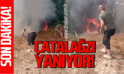 Yangın Zonguldak’a sıçradı: Yangına vatandaş müdahale ediyor!