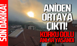 Bartın'da aniden ortaya çıktı, korkulu anlara neden oldu!