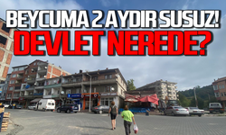Beycuma susuz kıvranıyor: Yetkililer nerede?