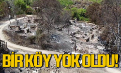 Karabük yangınında 1 köy yok oldu!