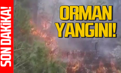 Karabük’te ormanlık alanda yangın!