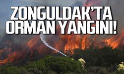 Zonguldak'ta orman yangını! Tüm ekipler seferber oldu!
