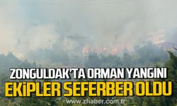 Zonguldak'ta orman yangını! Ekipler seferber oldu!