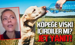 Köpeklere viski içirdiler mi? Şok iddialara jet yanıt geldi!