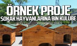 Çaycuma'da örnek proje! Sokak hayvanlarına bin kulübe!