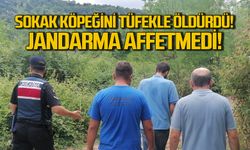 Sokak köpeğini tüfekle öldürdü! Jandarma affetmedi!