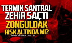 Termik Santral zehir saçtı! Zonguldak risk altında mı?