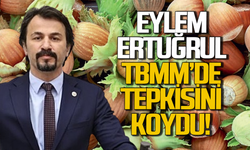 Eylem Ertuğrul TBMM’de fındık tepkisi!