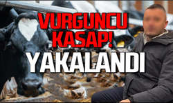 Çaycumalı vurguncu kasap Çanakkale’de yakalandı!