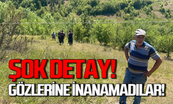 Bartın’da ilginç detay: Vatandaşlar gözlerine inanamadı!