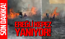 Ereğli Kepez yanıyor: İtfaiye ve vatandaşlar seferber oldu!