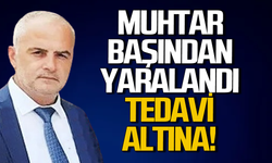 Muhtar başından yaralandı: Tedavi altına alındı!