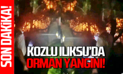 Kozlu Ilıksu’da yangın başladı: Ekipler seferber oldu