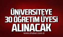 Karabük Üniversitesi 30 Öğretim Üyesi alımı yapacak!