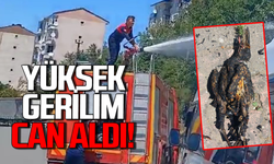 Yüksek gerilim hattı can aldı: İtfaiye yangına müdahale etti!