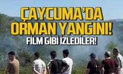 Çaycuma'da orman yangını! Film gibi izlediler!