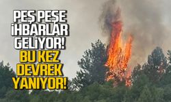 Peş peşe ihbarlar geliyor! Bu kez Devrek yanıyor!