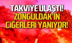Takviye ulaştı! Zonguldak'ta yangın büyüyor!