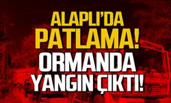 Alaplı'da patlama! Ormanda yangın çıktı!