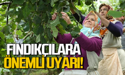 Fındıkçılara kritik uyarı!