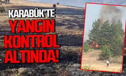 Karabük'te çıkan yangın kontrol altına alındı