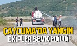 Çaycuma'da yangın! Ekipler sevk edildi!