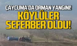 Çaycuma'da orman yangını! Köylüler seferber oldu!