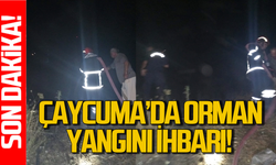 Çaycuma’da orman yangını: İtfaiye alarma geçti!