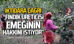 İsmail Yıldız'dan iktidara çağrı! "Üreticilerin düşük fiyatla sefalete sürüklenmesini reddediyoruz"