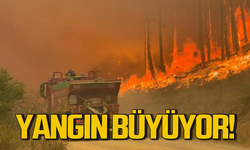 Karabük’teki orman yangını rüzgarın etkisiyle büyüyor