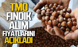 TMO, fındık alım fiyatlarını açıkladı!