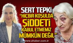 Merve Kır; "Detayları ne olursa olsun, hiçbir koşulda şiddeti kabul etmemiz mümkün değil"