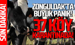 Zonguldak'ta salgın alarmı: 37 köy ve mahallede karantina uygulanacak!