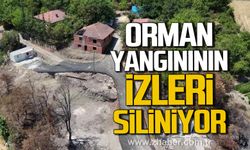 Karabük’teki orman yangınının izleri siliniyor!