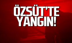 Zonguldak Özsüt'te yangın!