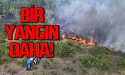 Karabük'te bir yangın daha çıktı!